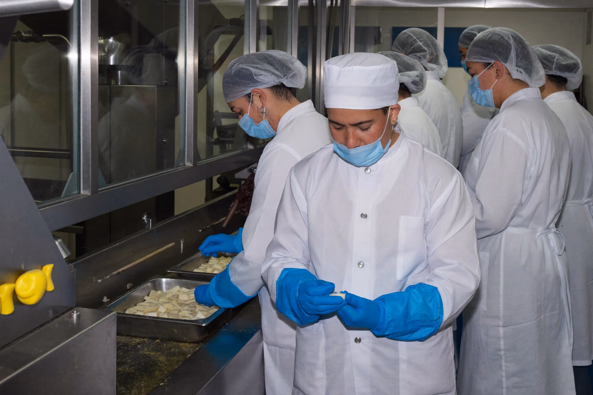 Food Processing
